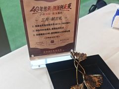 -南海渔村·空中一号