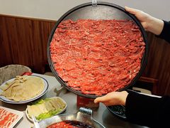 -渝大龙重庆火锅(温泉月亮湾店)