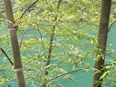 -光明小镇欢乐田园
