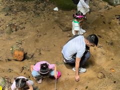 -火炉山森林公园