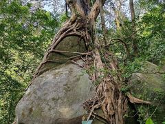 -七仙岭温泉国家森林公园