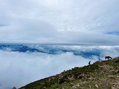 -灵山