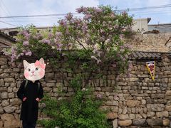-于家石头村景区