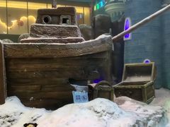 -世界之窗阿尔卑斯冰雪世界