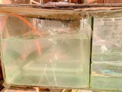 -和福餐馆(西江古街店)