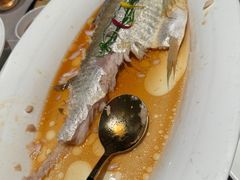 -醉庐·新上海菜(南京西路店)