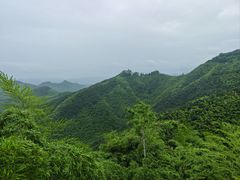 -莫干山风景区