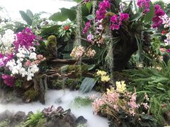 -石家庄市植物园