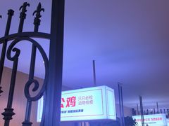 -俭寨大盘芦花土鸡·小公鸡·烧烤新疆菜(云通店)