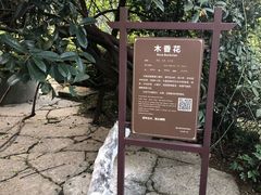 -重庆抗战遗址博物馆