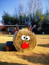 -禧园Joyous Garden ·宴会厅(禧园店)