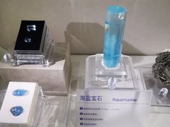 -安徽省地质博物馆