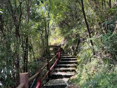 -广州白江湖森林公园