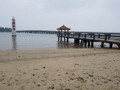景点-东郊椰林