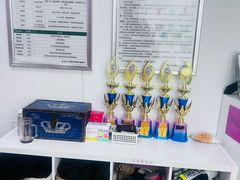 -常青藤国际象棋(新奥店)