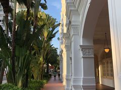 -Long Bar(莱佛士酒店)