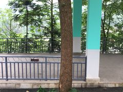 -虹口漂流