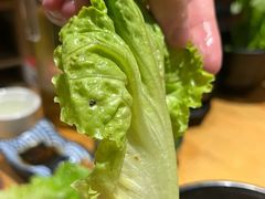 -土大力韩式烤肉料理(和平路店)