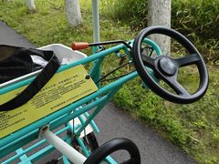 -日照海滨国家森林公园