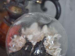 -海边的猫和咖啡馆