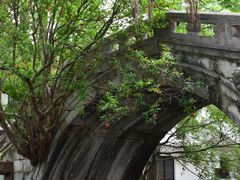 -练塘古镇
