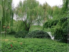 -鹊华居·地道鲁菜·海鲜·融合味(大明湖店)