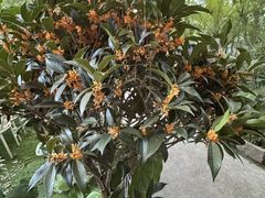 -Carmen卡门西班牙餐厅