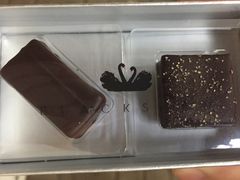 -BLACKSWAN黑天鹅(环球店)