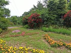 -桤木河湿地公园