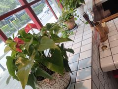 -蛙一刀·麻椒鱼火锅(金仙桥店)
