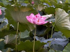 -云龙湖旅游景区