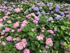 -苏州河梦清园环保主题公园