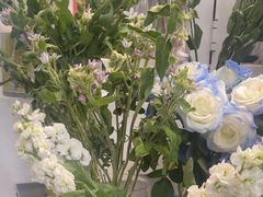 -FEI FEI FLOWER鲜花店·气球派对·宝宝宴布置(虹口德必运动Loft店)