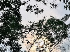 -晓港公园