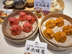 -百彦蒙古包·碳烤羊排·手抓羊肉(万江首店)
