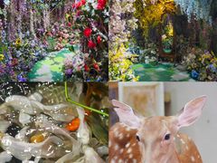 -正佳雨林生态植物园