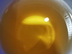 -笨罗卜浏阳菜馆(星沙店)