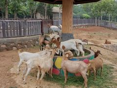 -石家庄市动物园