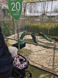 -萌宠亲子动物乐园(槐房万达店)