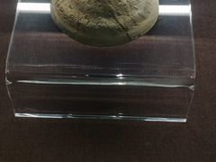 -盘龙城遗址博物院