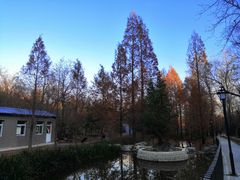 -白水寺森林公园
