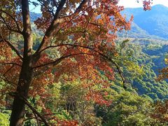 -广州市石门国家森林公园