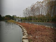 -白塘生态植物园