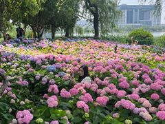 -金银湖国家城市湿地公园
