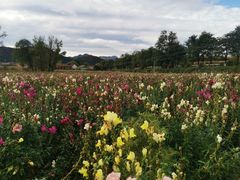 -百里山水画廊乌龙峡谷