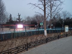 -大兴滨河森林公园