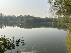 -北坞公园