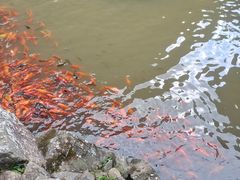 -刘伯温故里景区百丈漈