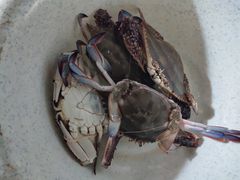 -世纪联华超市(浦电路店)