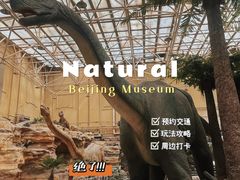 -国家自然博物馆